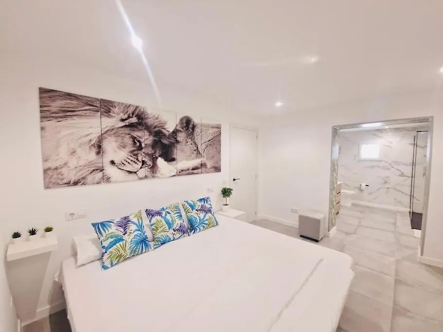 Casona Low Cost Fan Lujo Palma di Maiorca 0*,